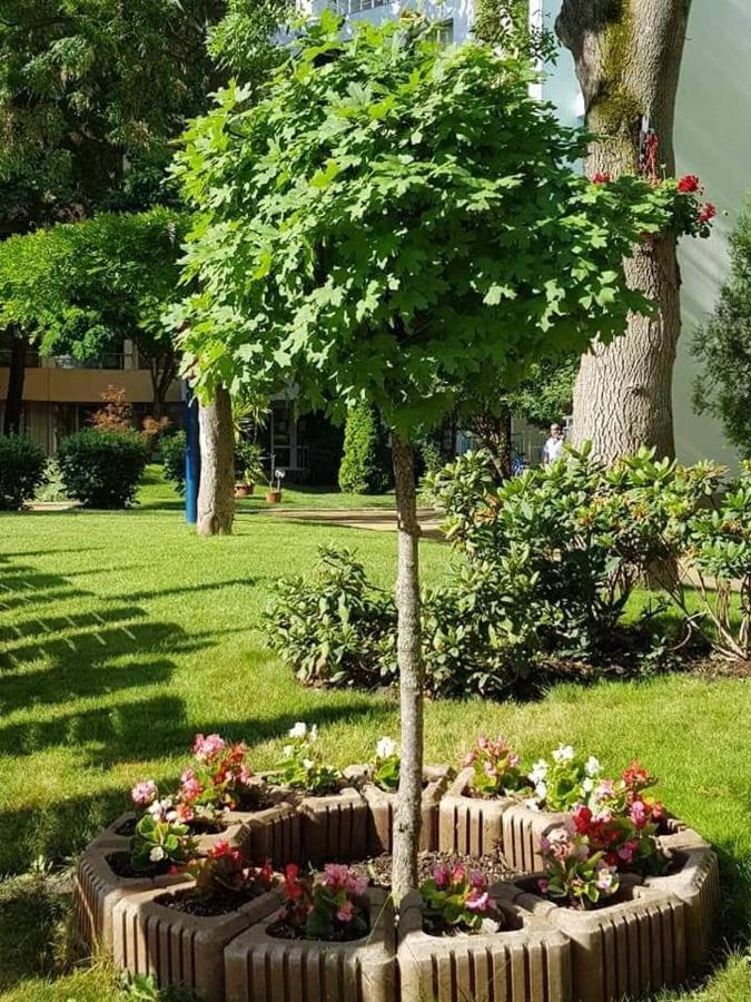 Yassen Holiday Village Солнечный берег Экстерьер фото