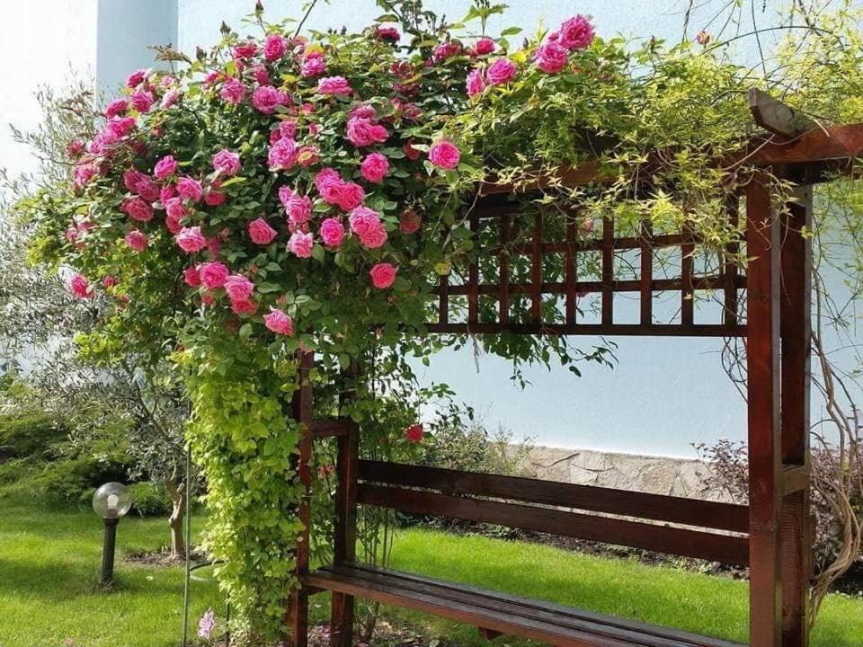 Yassen Holiday Village Солнечный берег Экстерьер фото
